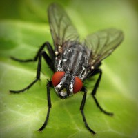 /album/chiesamadre/photolia-a01-jpg/