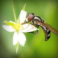 /album/chiesamadre/photolia-a02-jpg/