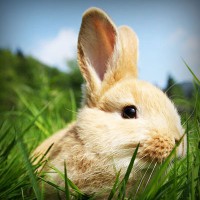 /album/chiesamadre/photolia-a03-jpg/