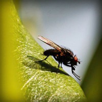 /album/chiesamadre/photolia-a04-jpg/