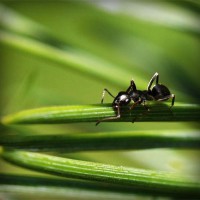 /album/chiesamadre/photolia-a05-jpg/