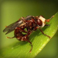 /album/chiesamadre/photolia-a06-jpg/