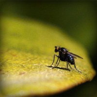 /album/chiesamadre/photolia-a07-jpg/