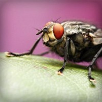 /album/chiesamadre/photolia-a08-jpg/